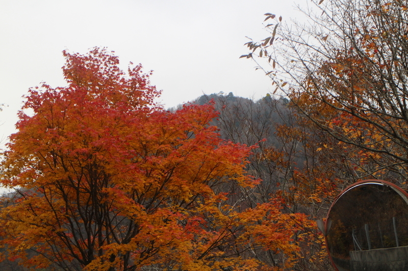 f:id:trprn897:20181101161447j:image:w640