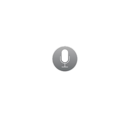 音声入力