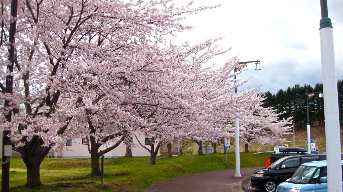 f:id:truelies1:20210507234048j:plain