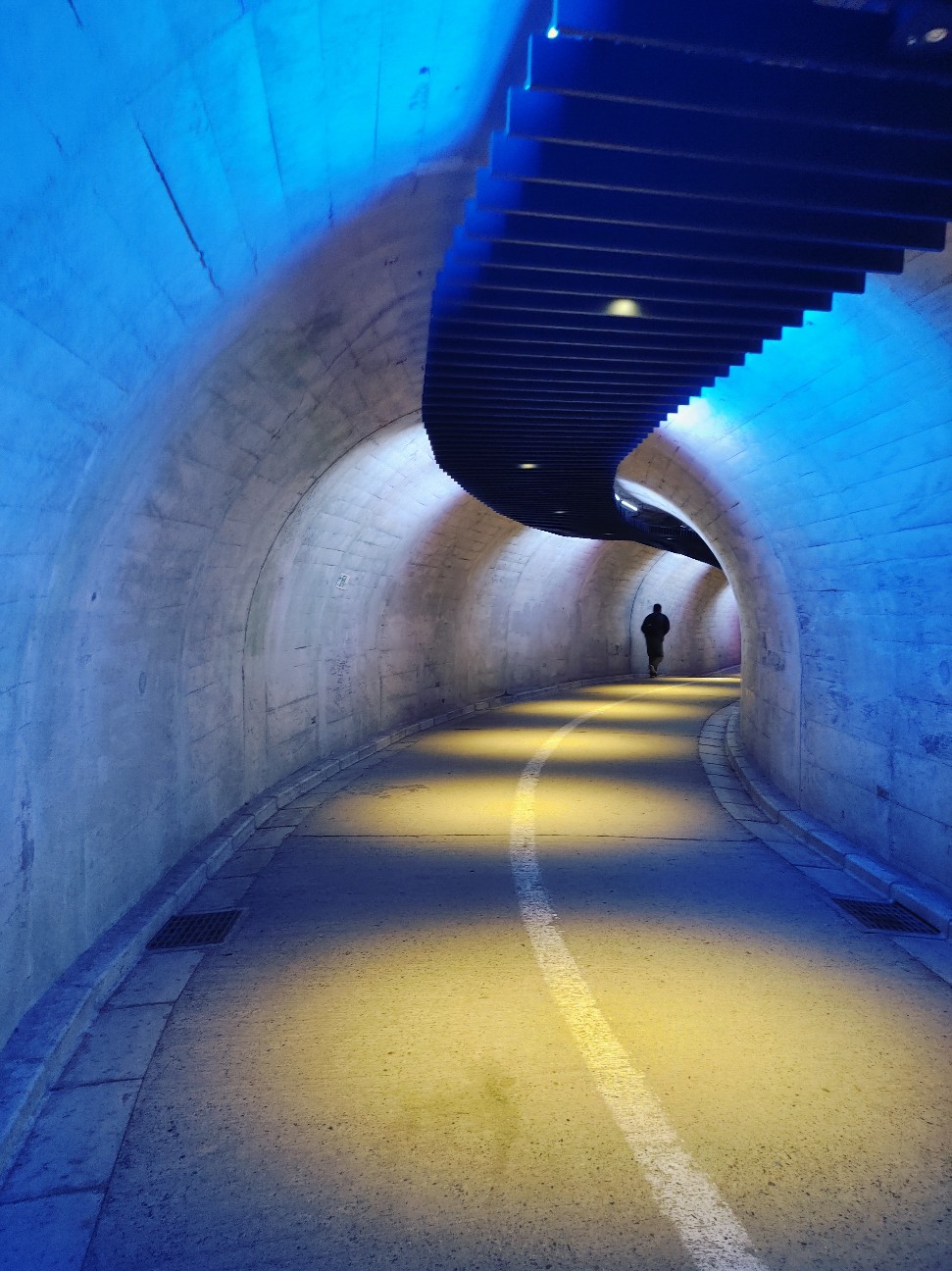 f:id:trueno-c405:20260203210259j:image f:id:trueno-c405:20260203210259j:image