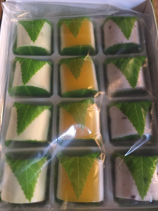 f:id:trush_key:20190429163236j:plain f:id:trush_key:20190429163236j:plain