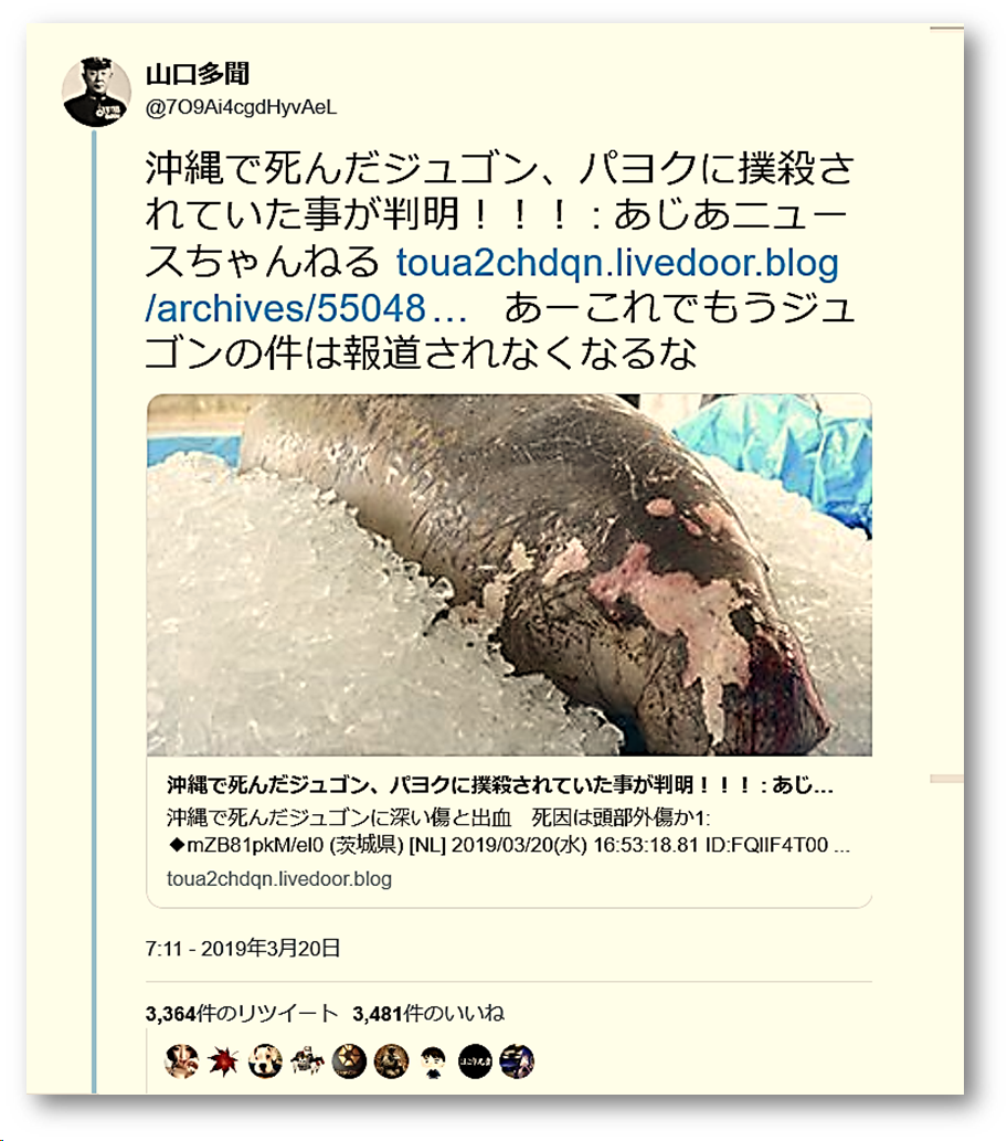 f:id:truthaboutokinawa:20190322143136p:plain f:id:truthaboutokinawa:20190322143136p:plain