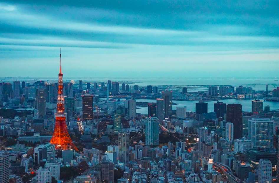 伊藤 病院 診察 時間 伊藤病院 渋谷区 Amp Petmd Com 伊藤 病院 診察 時間 伊藤病院 渋谷区 Amp Petmd Com
