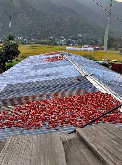 f:id:trvlr:20181007173332j:plain