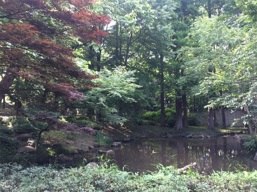 f:id:try-new:20170604153256j:image