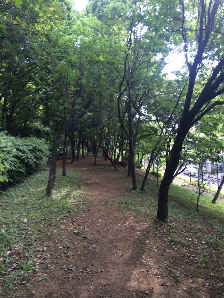 f:id:try-new:20170604153545j:image