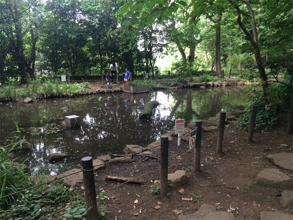 f:id:try-new:20170604153738j:image