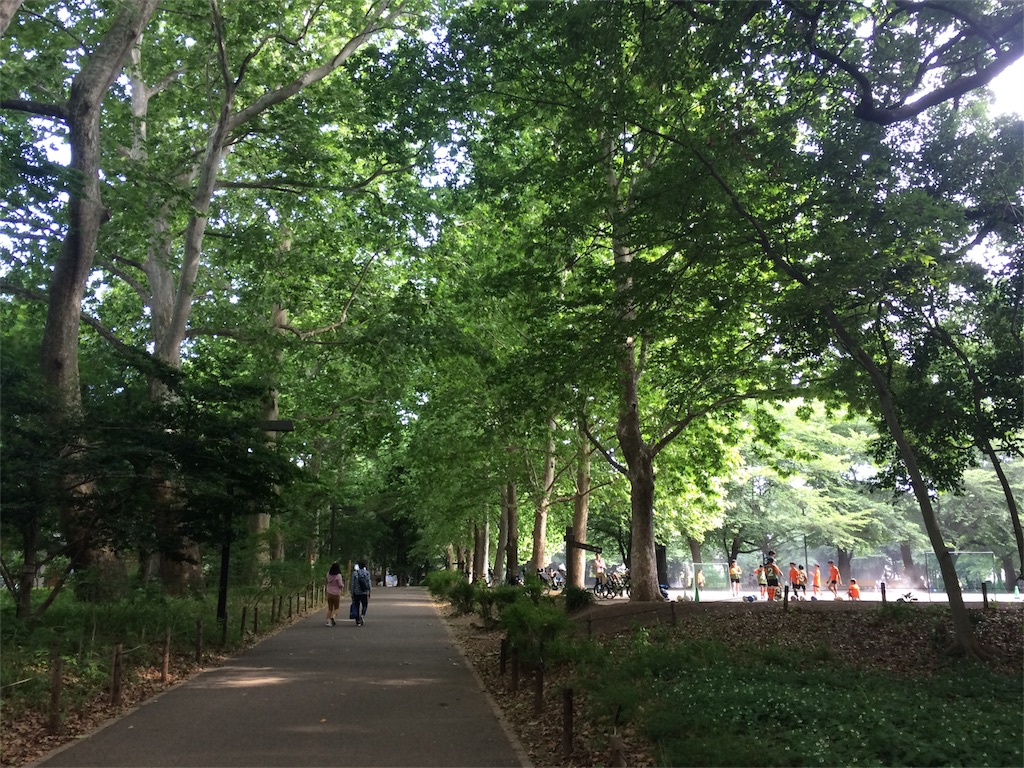 f:id:try-new:20170604153748j:image