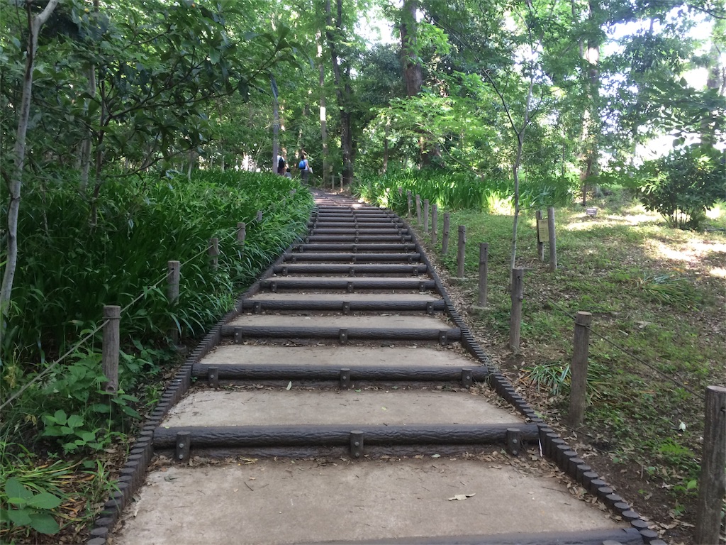 f:id:try-new:20170604162614j:image