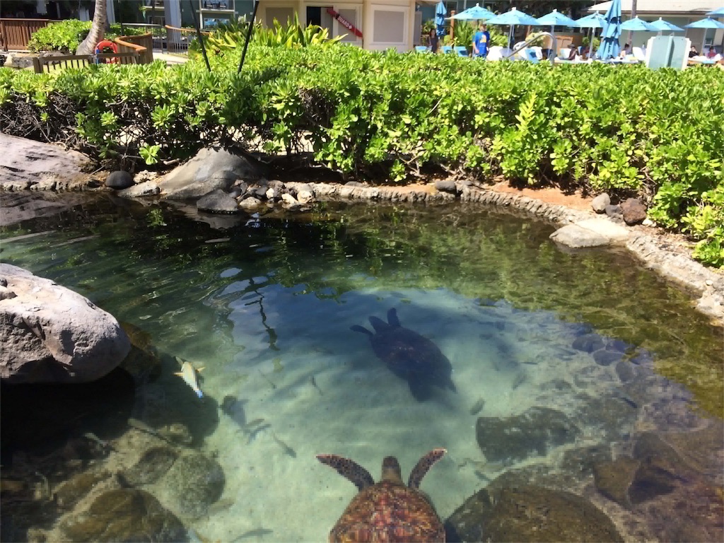 f:id:try-new:20170719113019j:image