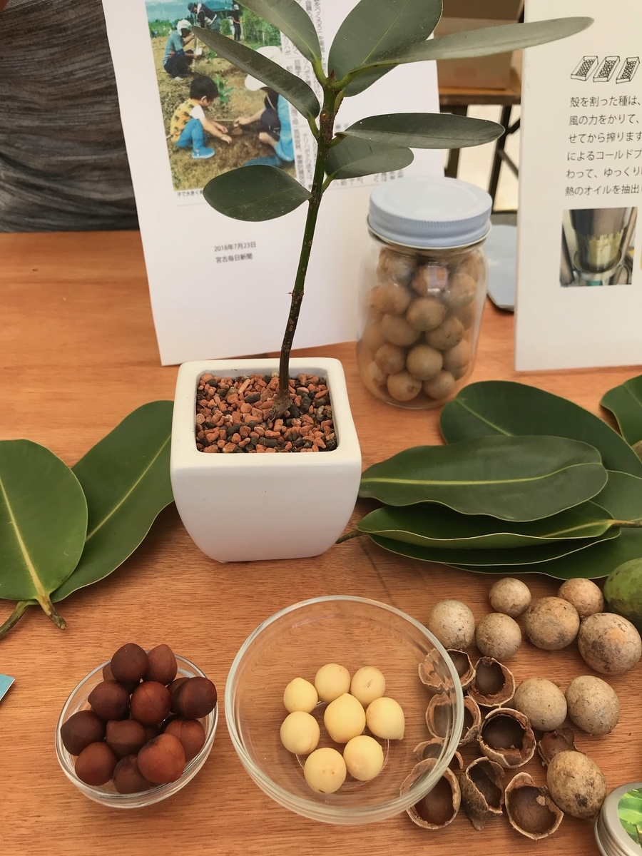 f:id:tryaging:20190614181546j:plain f:id:tryaging:20190614181546j:plain