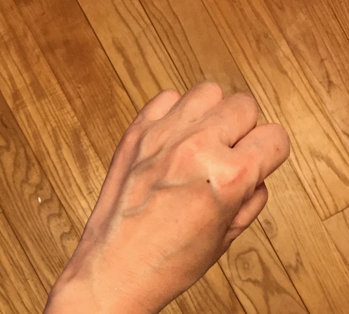 f:id:tryaging:20190930172436j:plain f:id:tryaging:20190930172436j:plain