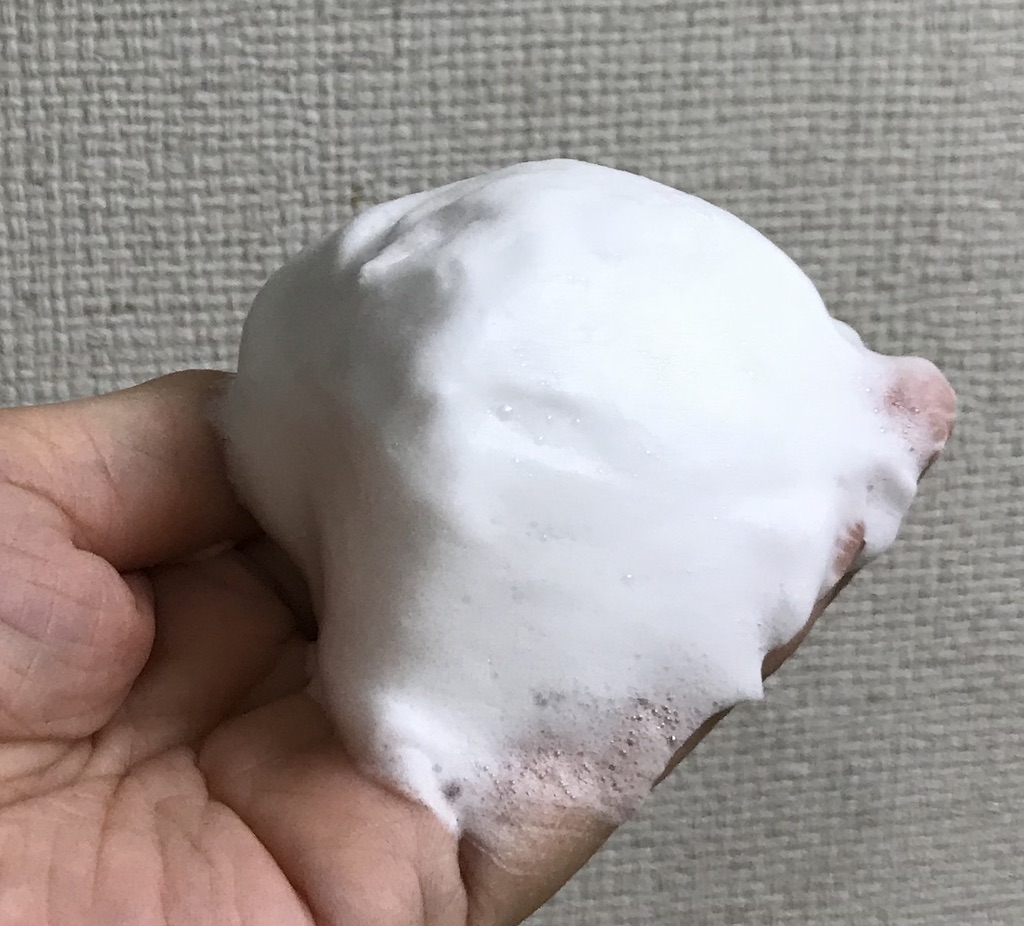 f:id:tryaging:20191220122112j:plain f:id:tryaging:20191220122112j:plain