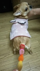 f:id:ts-alamode:20170102162727j:image