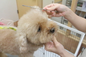 f:id:ts-alamode:20180226165935j:image