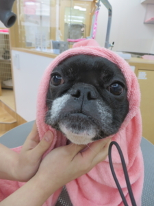 f:id:ts-alamode:20180319155849j:image