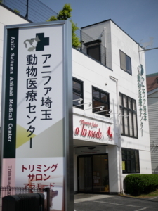 f:id:ts-alamode:20180413141142j:image