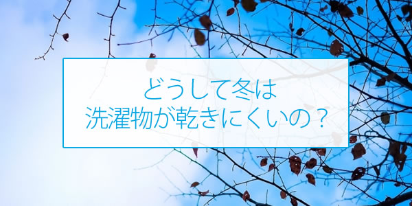f:id:ts-tomomi:20190222141945j:plain f:id:ts-tomomi:20190222141945j:plain