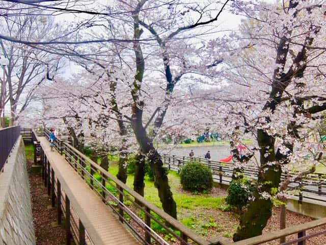 f:id:ts01:20190401081035j:plain f:id:ts01:20190401081035j:plain