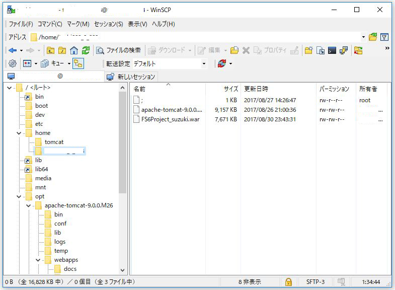 Gcp Google Cloud Platform のcompute Engineのvmインスタンス 仮想マシン にwinscpで接続 Ts0818のブログ