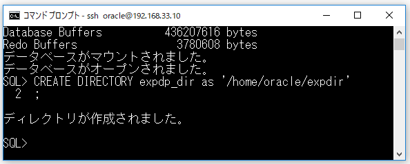 Oracle Database 12c Release 2 12 2 0 1 0 で データベース キャラクタ セットの変更は不完全にしかできないので Dbインストール時の設定で決めてしまうのが大事らしい Ts0818のブログ