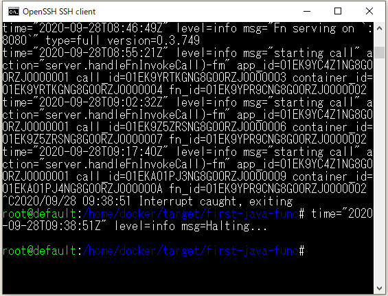 Fn Project でサーバーレスをJavaで試してみる - ts0818のブログ