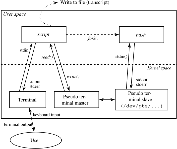 Docker Composeでtty:trueで何故コンテナは起動し続けることができるのか - ts0818のブログ