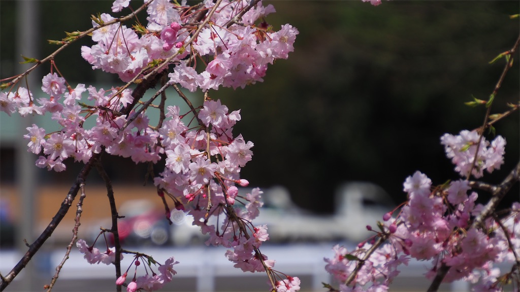 f:id:ts3tab:20230402222137j:image