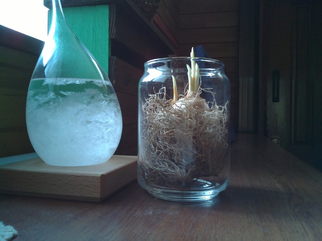 f:id:tsakaidesu:20181103221143j:plain f:id:tsakaidesu:20181103221143j:plain