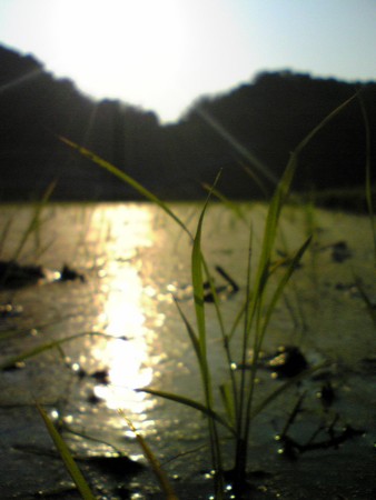 f:id:tshibata:20120527061812j:image:h320 f:id:tshibata:20120527061812j:image:h320