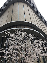 f:id:tsiraisi:20170409145507j:plain:w150 f:id:tsiraisi:20170409145507j:plain:w150