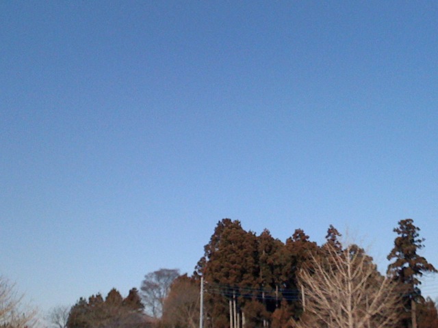 f:id:tsntsumi:20090116110326j:image:w320