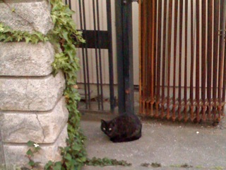 f:id:tsntsumi:20090519184323j:image:w320