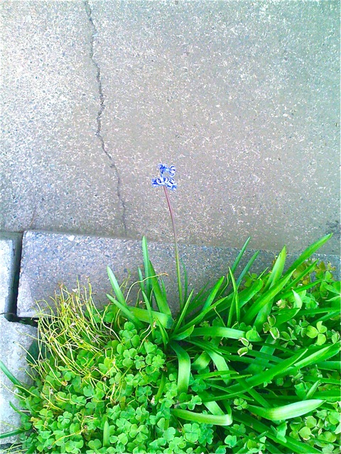 20100401150948