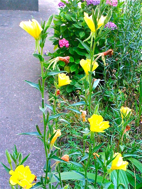 20100622150627