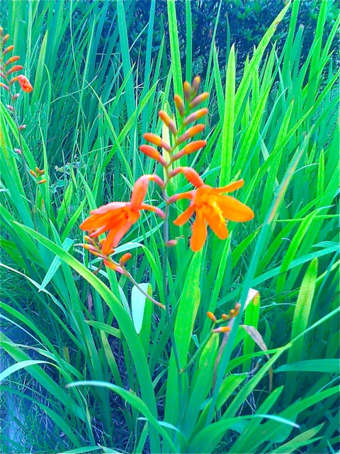 f:id:tsntsumi:20100629150850j:image:w120