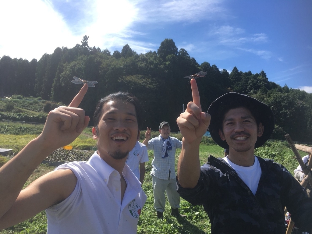 f:id:tss-cocokara:20181016103603j:plain