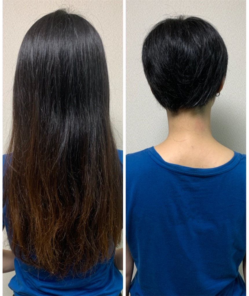 20220827 OLがヘアドネーションした話 - つかもとのおはようから