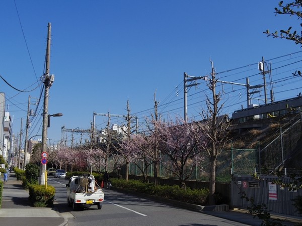 f:id:tsu_tsu:20140316085822j:image f:id:tsu_tsu:20140316085822j:image