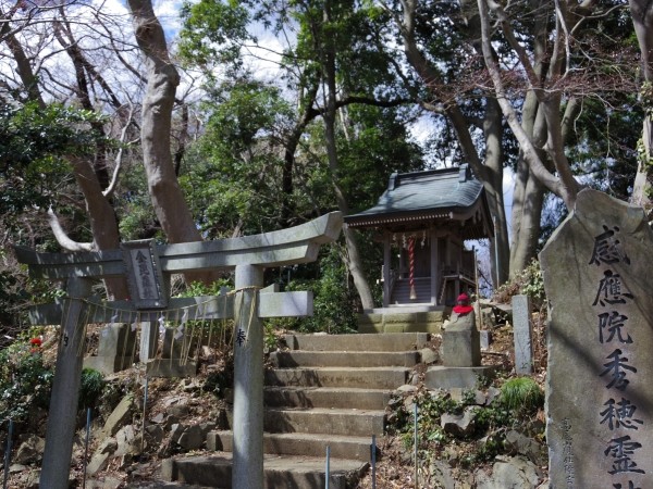 f:id:tsu_tsu:20140322112148j:image f:id:tsu_tsu:20140322112148j:image