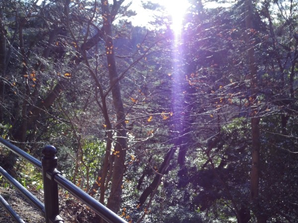 f:id:tsu_tsu:20140322112155j:image f:id:tsu_tsu:20140322112155j:image