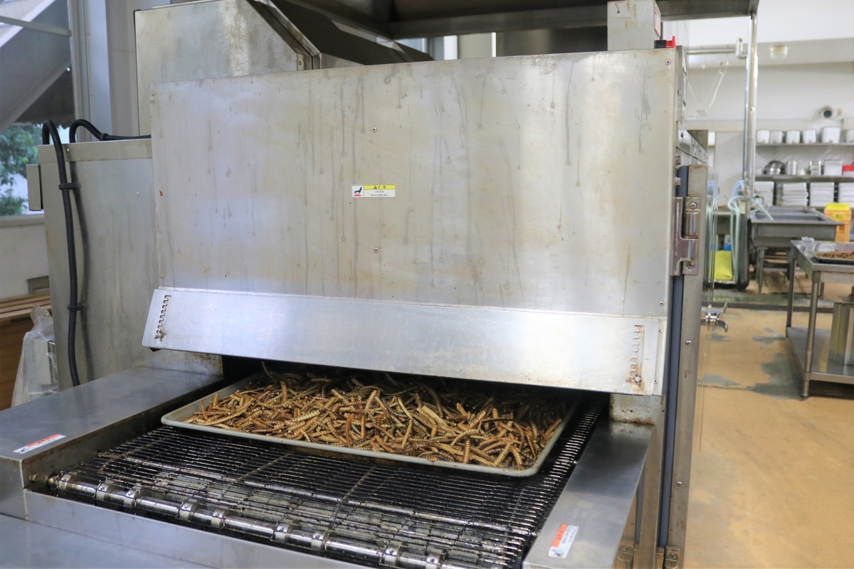 f:id:tsubakiakira:20191115230214j:plain