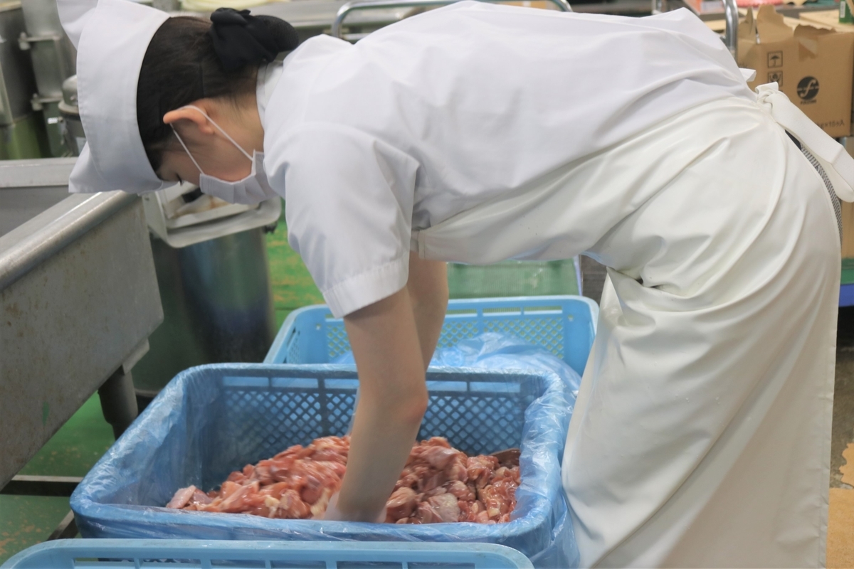 f:id:tsubakiakira:20191115230342j:plain