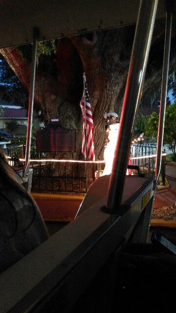 f:id:tsubakidoh:20161212080840j:image f:id:tsubakidoh:20161212080840j:image