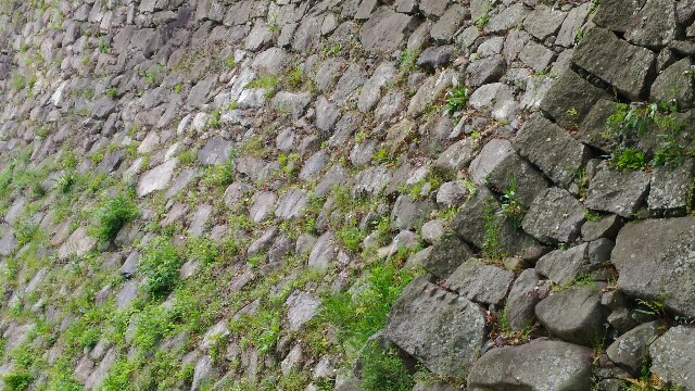 f:id:tsubakidoh:20170421174051j:image