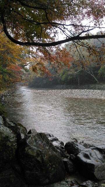 f:id:tsubakidoh:20171118174200j:image