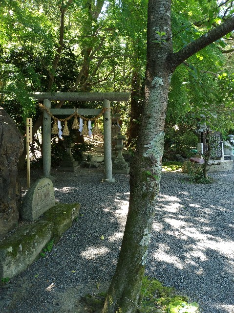 f:id:tsubakidoh:20180522170120j:plain