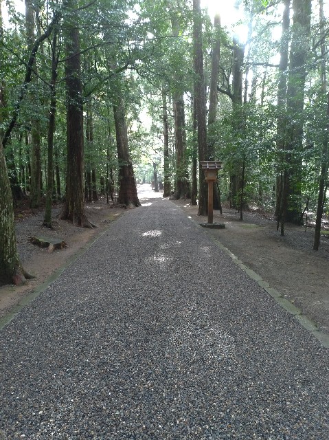 f:id:tsubakidoh:20181106114810j:plain f:id:tsubakidoh:20181106114810j:plain