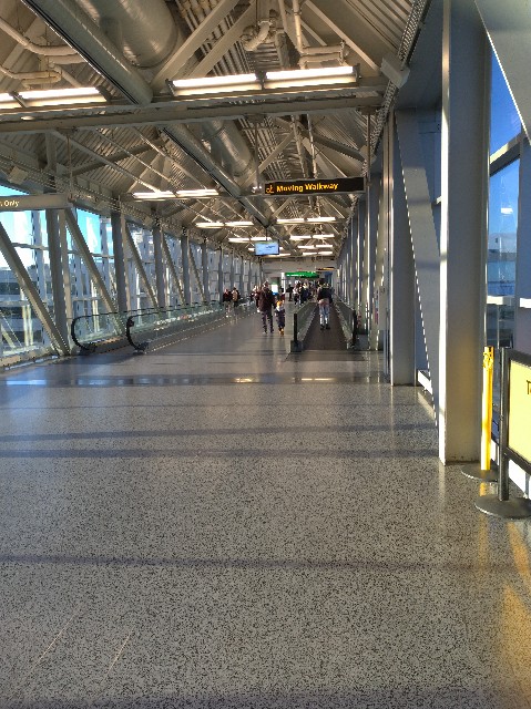 f:id:tsubakidoh:20181208224105j:plain f:id:tsubakidoh:20181208224105j:plain