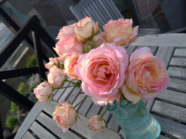 f:id:tsubakidoh:20190529183220j:plain f:id:tsubakidoh:20190529183220j:plain